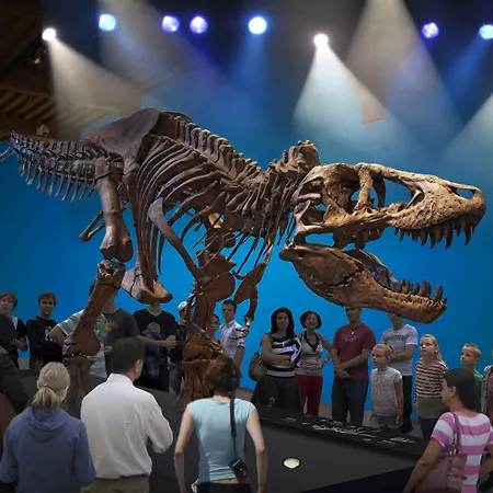 Ibis Centre Лейден